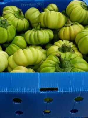 AUBERGINE DIAKHATOU  5Kg