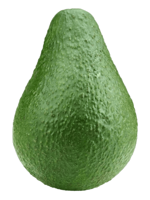 AVOCAT  4Kg