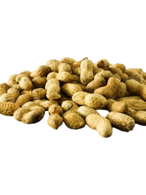 ARACHIDES FRAICHES TOGO  5Kg